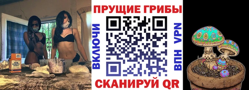 Псилоцибиновые грибы ЛСД  даркнет сайт  Жигулёвск 